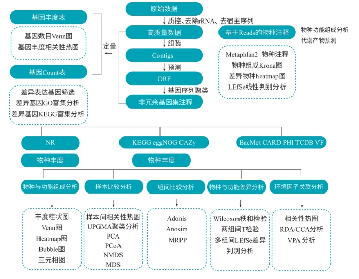 宏转录组测序分析流程