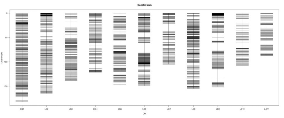 high-density-genetic-map