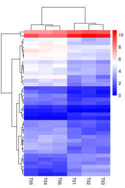 lncrna