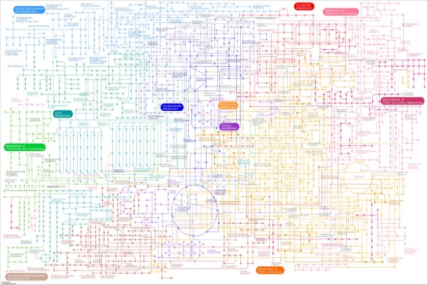代谢通路注释图