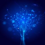 系统进化树介绍、构建方法及绘制详解【技术贴】