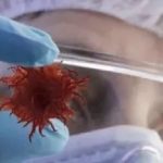 【文献精度】蛋白组+三代全长转录组致力于肿瘤标志物的研究