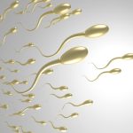 外显子测序揭示畸形精子症男性不育近亲家系FBXO43纯合突变