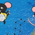 减肥没有那么难，菱形藻给你惊喜！