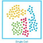 单细胞测序技术研究进展概述