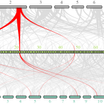 比较基因组学研究那些事