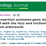 【项目案例】亚洲棉无短绒性状的遗传机制研究 | Plant Biotechnol J.