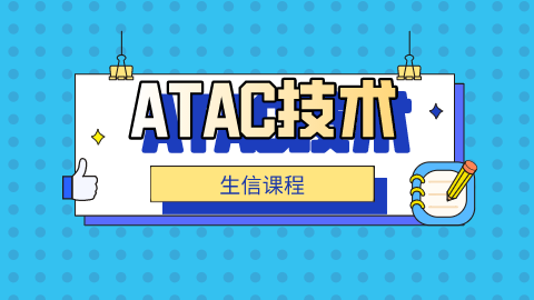 atac-seq生物信息分析