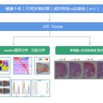 空间转录组在神经学方向的应用