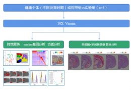 空间转录组在神经学方向的应用