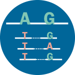 全基因组重测序分析平台