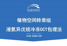 【空间转录组】组织到切片的传奇穿越之旅（3）-附上标准视频教程