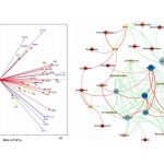 成功案例|微生物多样性+qPCR，多因素关联分析思路总结