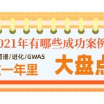 年终盘点 | 影响因子400+？快来看看百迈客群体21年都发了什么文章！