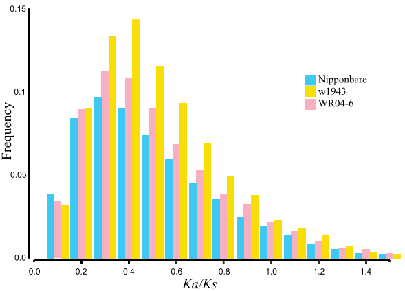 杂草稻基因对Ka/Ks值的频率分布