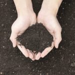 ITS扩增子测序揭示重金属污染梯度下土壤真菌群落的生物地理分布、群落组装机制与功能适应性变化。