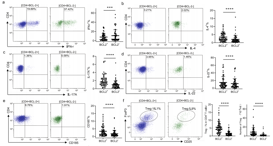BCL-2阳性和阴性不同谱系CD4+ T细胞的分布