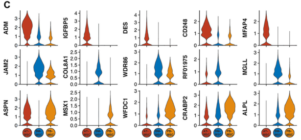 图2单细胞RNA测序（sc RNAseq）数据揭示了马间充质基质细胞（MSCs）的源间变异