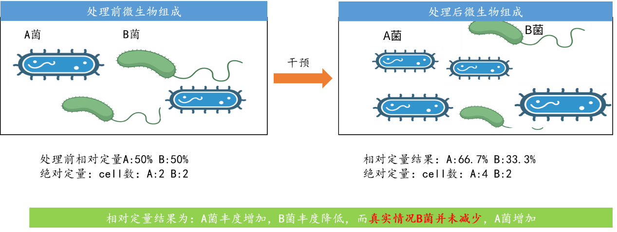 微生物/16S/细菌/扩增子绝对定量