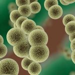年度盘点 | 2022年百迈客微生物勇攀高峰