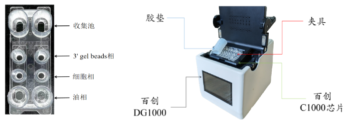 图1：百创C1000芯片结构（左图）；百创DG1000微液滴生成仪（右图）