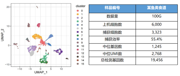 某鱼类食道