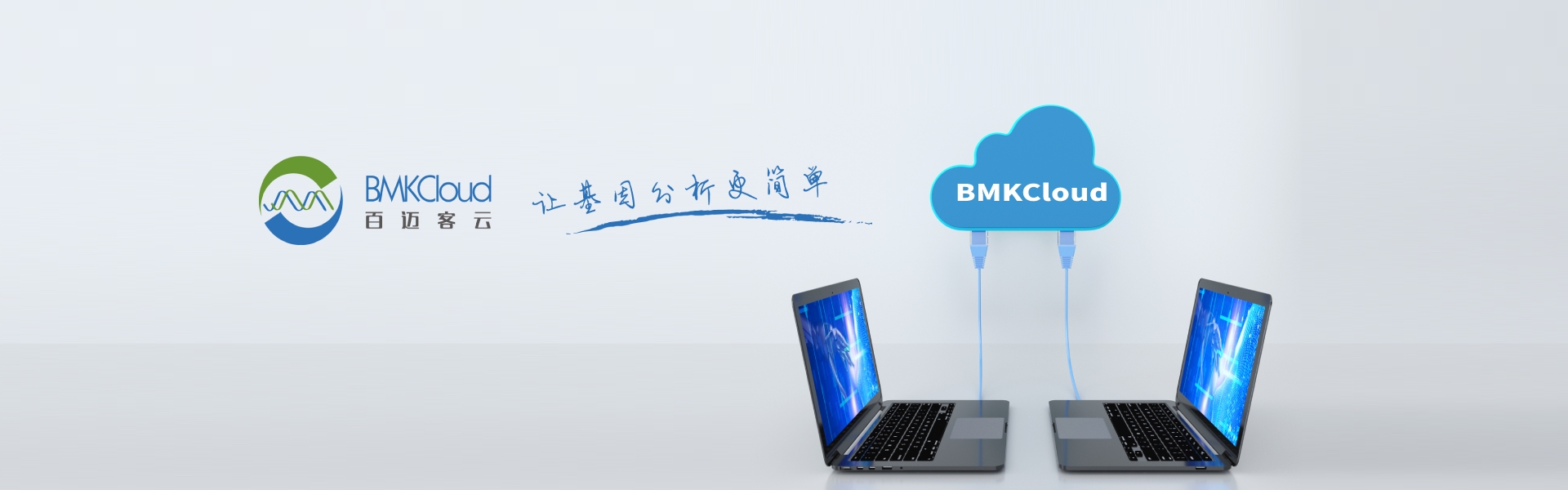 百迈客生物云计算平台