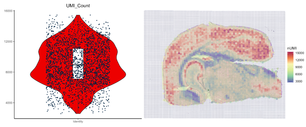 UMI_viol_heatmap