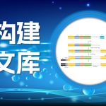 单细胞测序3 丨丨文库构建