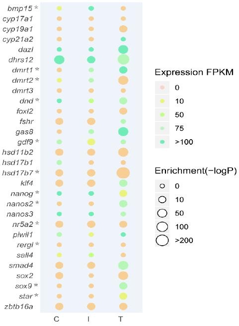 气泡图基于 RNA-seq DEG 的表达水平和 ATAC-seq 富集基序