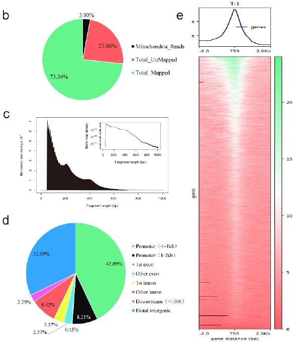 图 4 ATAC-seq 结果概述