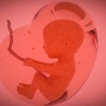 空间多组学探索妊娠早期滋养层发育图谱-IF=69.504丨文献解读