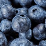 转录组学和代谢组学分析揭示了蓝莓的类黄酮和花青素代谢调控机制