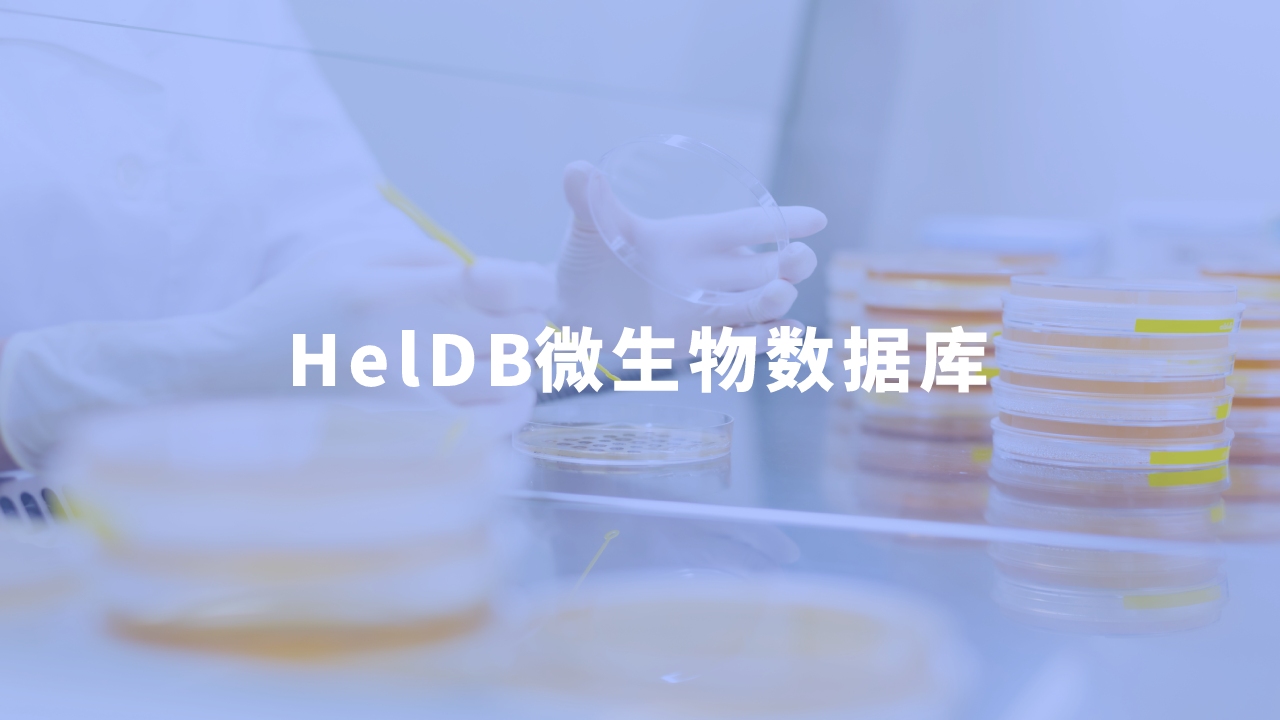 合作单位：河南师范大学