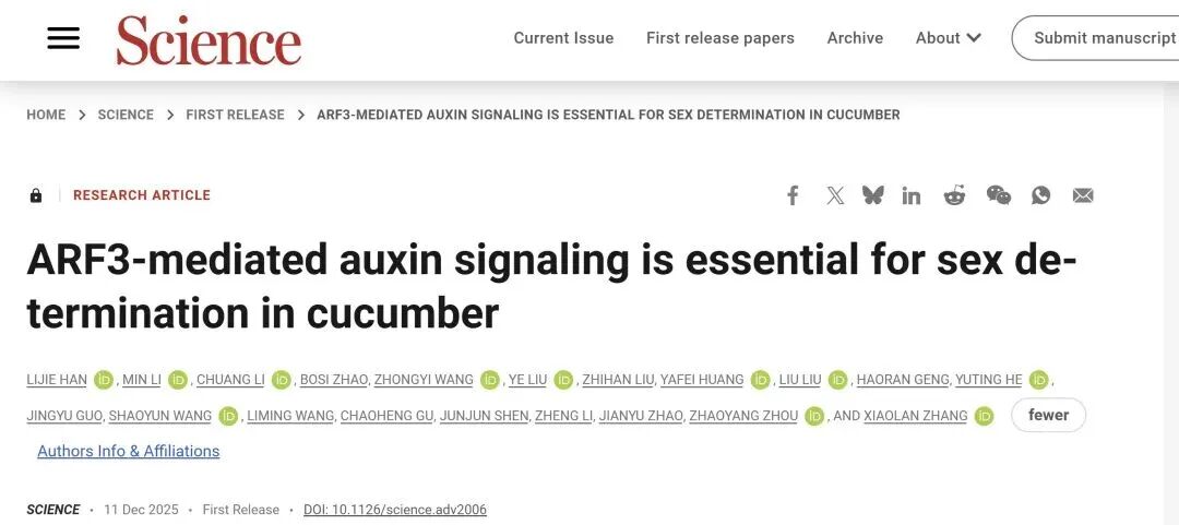 《Science》ARF3介导的生长素信号对黄瓜性别决定至关重要