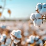 陆地棉进化轨迹与重要性状遗传架构被破解！《Nature Genetics》