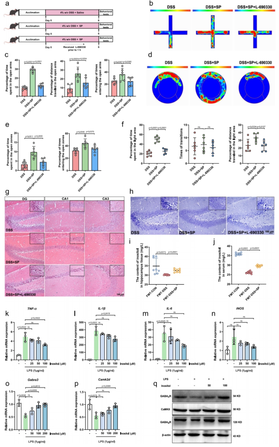 图9 肌醇在SP对DSS诱导小鼠焦虑样行为的作用中发挥关键作用