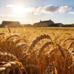 单细胞与空间转录组整合分析，揭示大麦从分生组织及器官起始细胞命运决定到特定花器官起始过程中的关键转录事件与时空轨迹