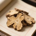 川芎水稻轮作内在机制解析研究进展丨《Journal of Cleaner Production》成都中医药大学国锦琳教授团队