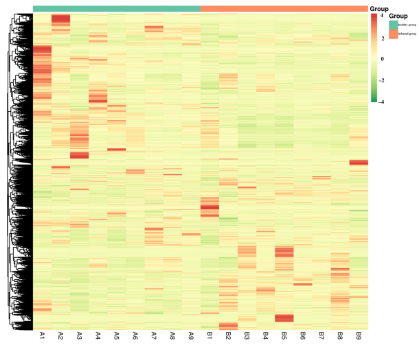 图7 差异代谢物热图