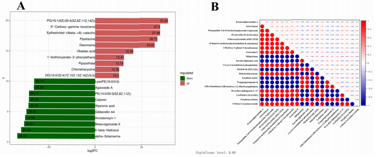 图9 牛BPIV3感染期间20种最显著差异代谢物（DEMs）的代谢组学特征分析及相关性研究