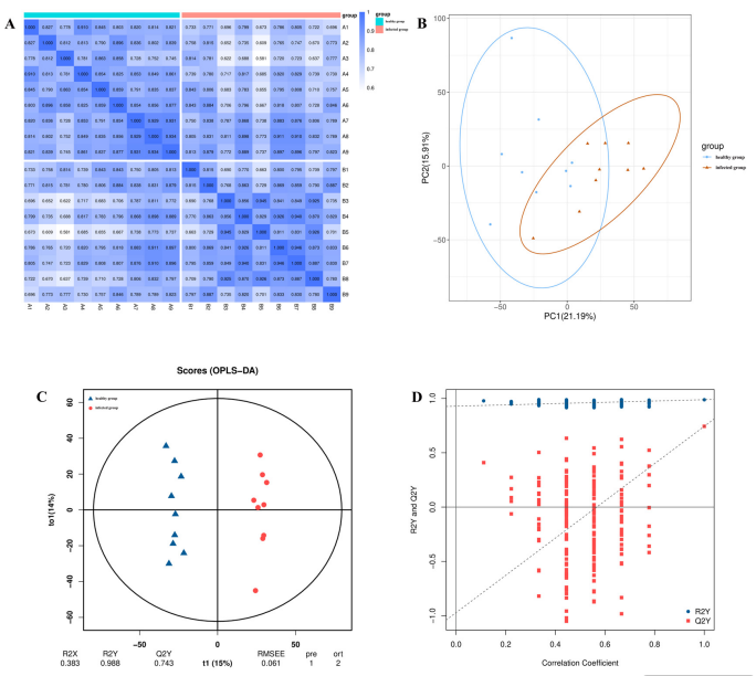 图6 基于PCA和OPLS-DA分析的样本分组与模型验证