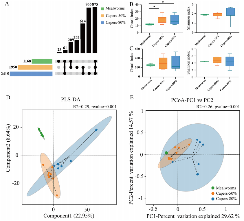 图2 以T. roborowskii为食的粉虫或基于刺山柑的饲料中的微生物群多样性