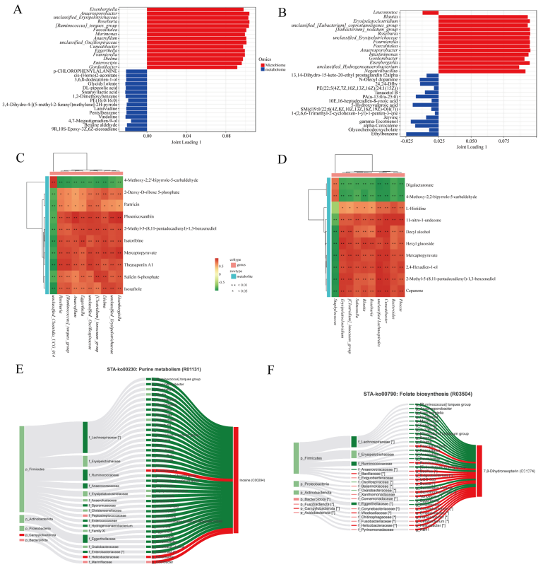 图5 肠道菌群与代谢物的相关性分析