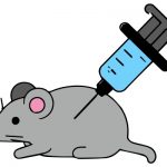 哥本哈根大学揭示膳食纤维其在特定病原体感染背景下的复杂性《Microbiome》