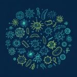 Nature Communications同款宏转录组技术详解，原来高分研究这么做！