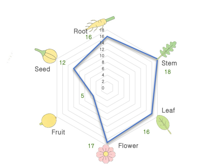 Tissue Distribution in Published Plant Spatial Transcriptomics Articles