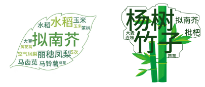 Species targeting vegetative organs (leaf/stem tissues)