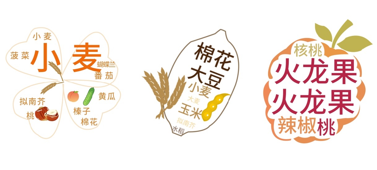 Species targeting plant reproductive organs (floral/fruit/seed tissues)