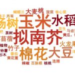 植物空间转录组学相关文献IF为何持续走高？